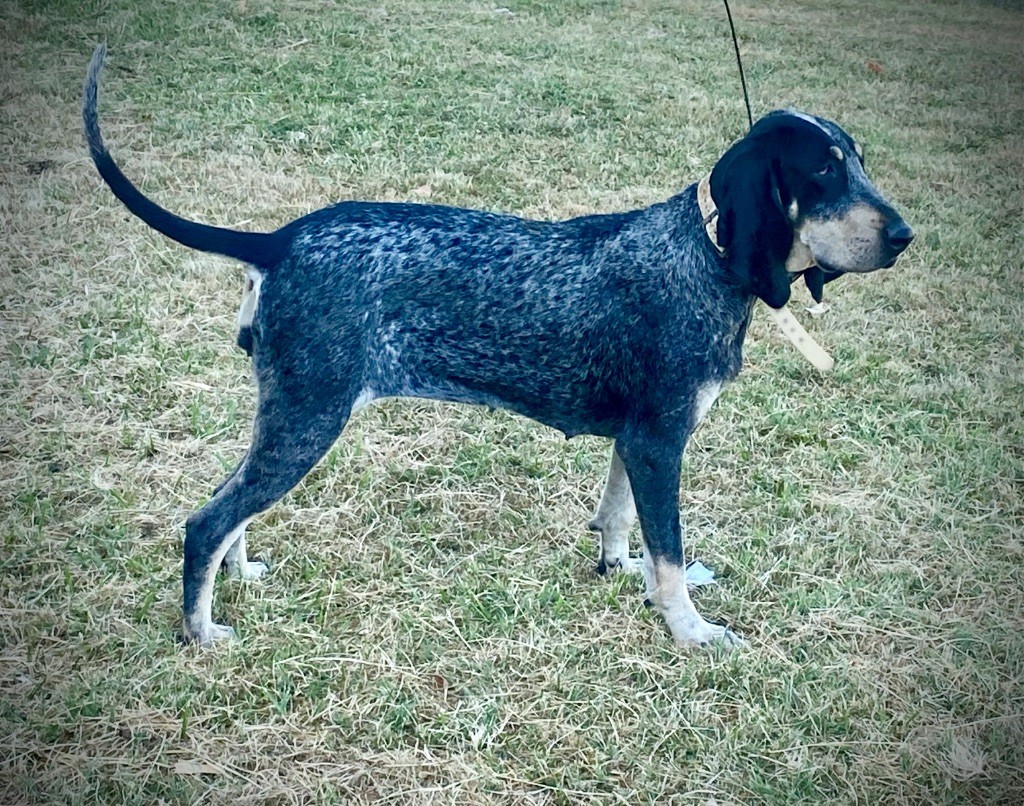 Visa des coteaux varois