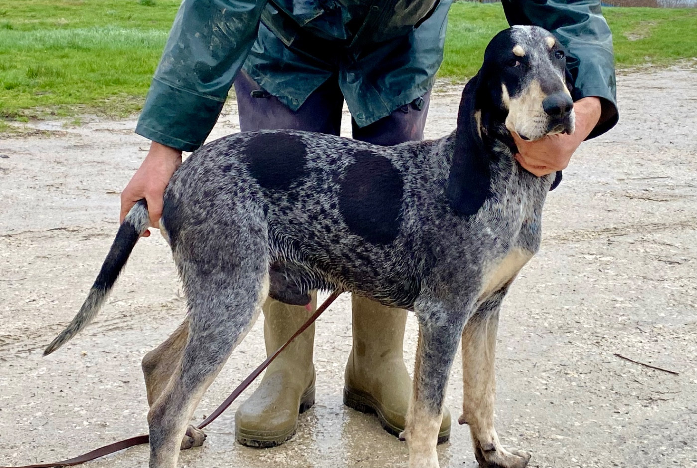 Aro des côteaux Varois